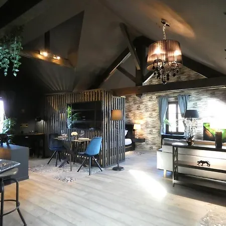 Cosy Loft Close To Geneva Διαμέρισμα